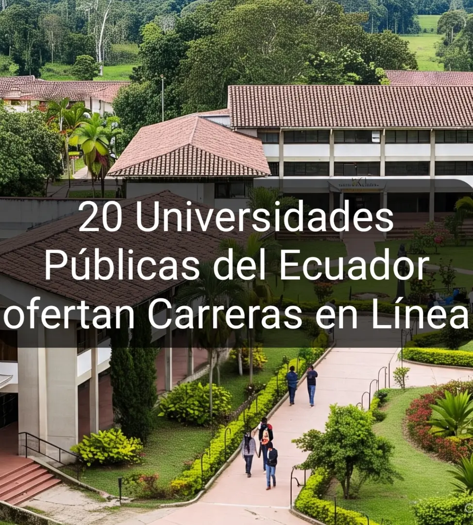Imagen de ¿Cuáles son las carreras en línea que ofertan las 20 universidades públicas del Ecuador?