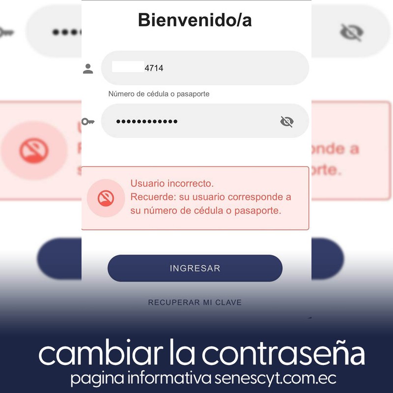 Imagen de Solución a 'Usuario Incorrecto' en Validación de Credenciales - Admisión 2023 2S